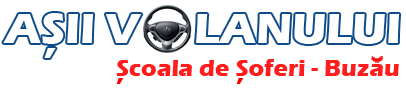 ASII VOLANULUI -Scoala de soferi – Buzau Logo